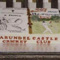 Cricket Match Cake for 1996 match.jpeg