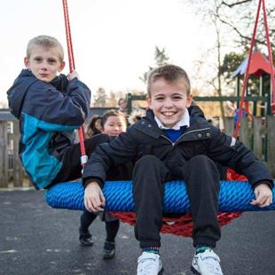 Group of little boys posing together on a swing smiling