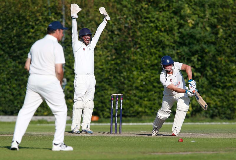 Big appeal for lbw.jpg