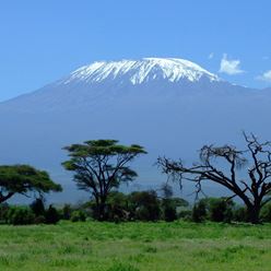kilimanjoro - Copy.jpg