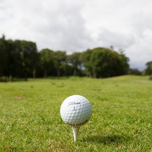 Strauss_GolfDay_mi_170914_127.jpg