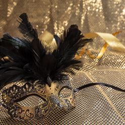 carnival-venetian-mask-with-feathers-on-golden-col-2022-12-16-12-24-38-utc.JPG