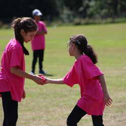 Wicketz (2)