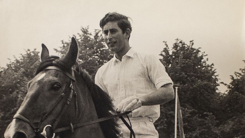 CharlesCricket03_Horse.jpg